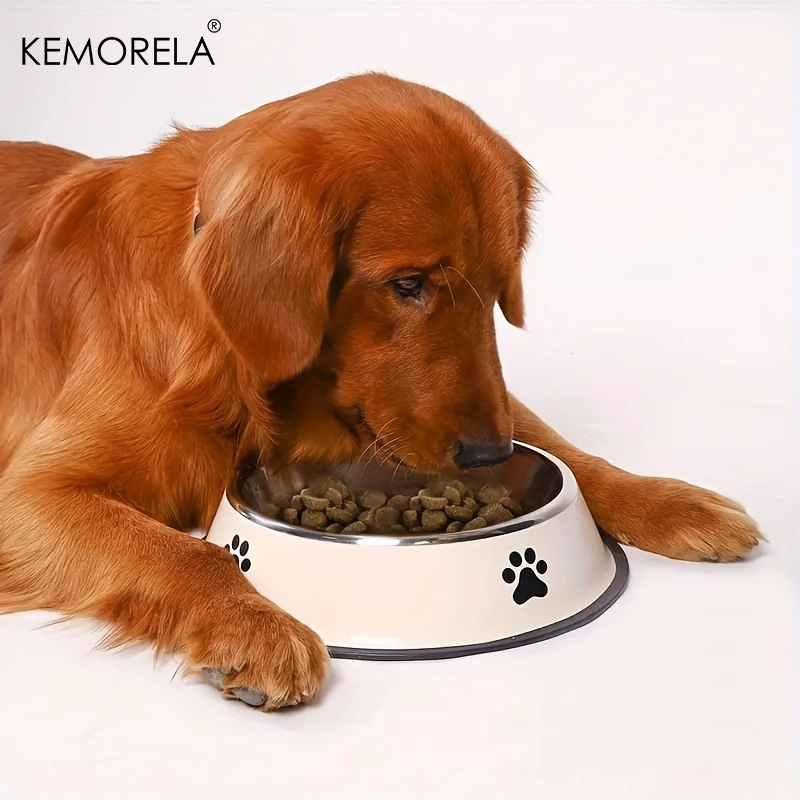 Ciotola per cani in acciaio in - Dog Food Storage Xl recensione e prezzo